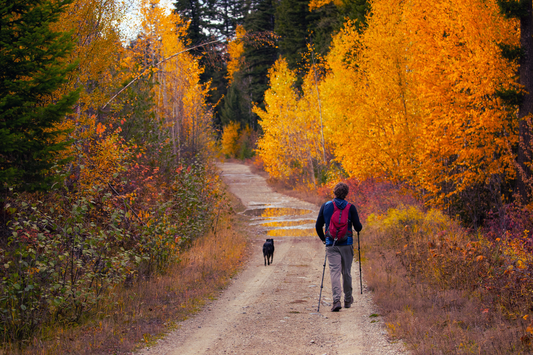 Why Indoor Air Quality Decreases in the Fall Season