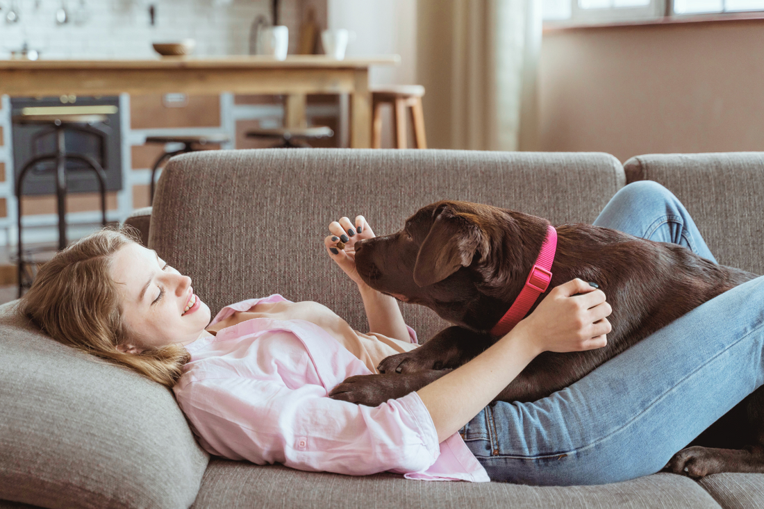 Fun Ways to Celebrate the Holidays with Your Dog