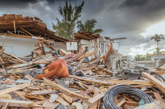 Guide to Keeping Your Pets Safe During Disasters